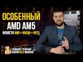 Особенности AMD AM5, перекупы без совести, новая технология Nvidia и полный разбор презентации Honor