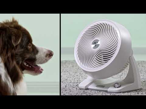 Vornado Energy Smart™ 633DC Air Circulator - A Cooling Experience Unlike Any Other