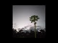 (sold) tyler the creator type beat "my favorite dream"