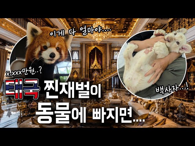 Latest Title & Thumbnail