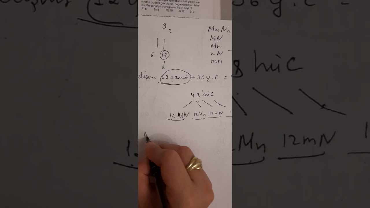 Sınaq.Taim test toplusu.Miq sertifik hazırlığı.051 5156768