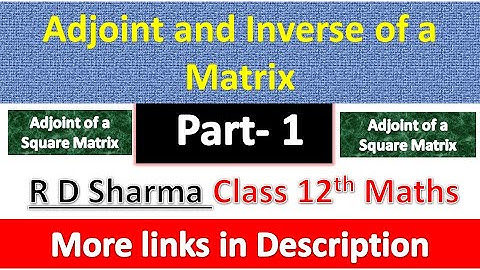 Adjoint and Inverse of a Matrix | Class 12th Maths Solution | Dhanpat Rai Publication | Part 1