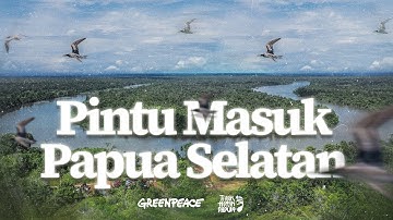 Keindahan Sungai Papua dan Jejak Awal Eksploitasi Hutan di Papua Selatan
