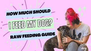 How Much Should I Feed My Dog? Raw Feeding Guide