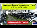 Dairy Framing Jobs in New Zealand|High Paying Jobs in New Zealand|How to Find Job in NZ Updated 2023