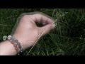 花よ 詞・曲Syun 唄Hoppe 映像Masumi