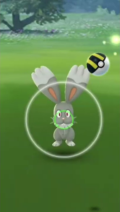 Why 99% shiny spawn with dead IV #shorts