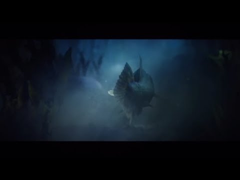 [MAD]一騎当千×Apex