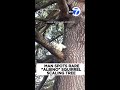 Man spots rare "albino" squirrel scaling tree