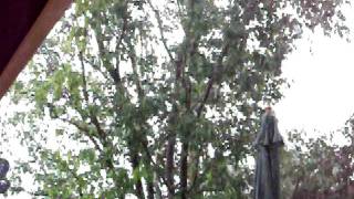 rain after microburst july 13 2011.MOV