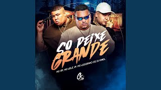 Só Peixe Grande - MC GP, MC LEOZINHO ZS and DJ Dael