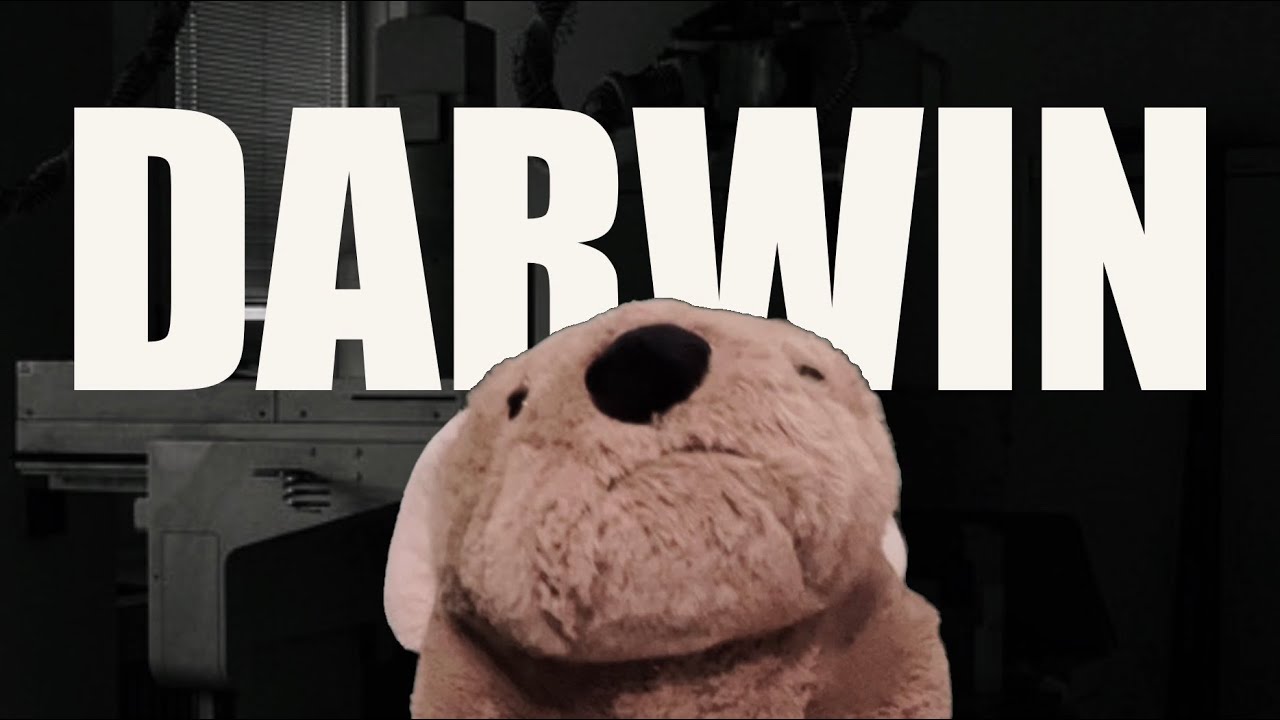 Darwin Movie Trailer YouTube