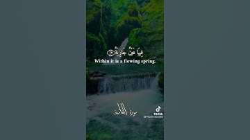 فِي جَنَّةٍ عَالِيَةٍ لَّا تَسْمَعُ فِيهَا لَاغِيَةً فِيهَاعَيْنٌ جَارِيَةٌ ... سورة الغاشيه