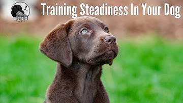 Steadiness Training