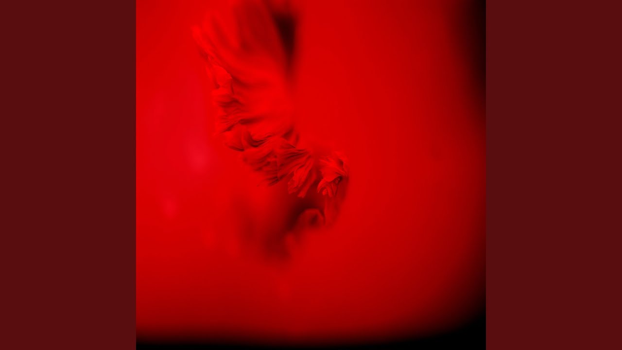 Watch Red Clay on YouTube