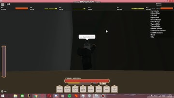 Rogue Lineage:What an illusionist will see if he wanna gank me