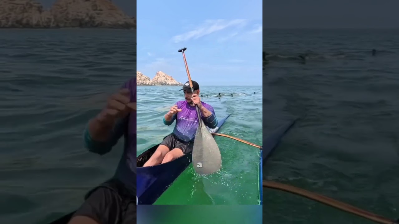 The Most Incredible Animal Moments Ever Caught on Camera Ep.10