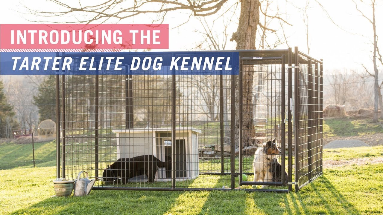 tarter heavy duty dog kennel