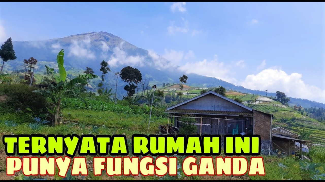 Pesona dusun dampit lereng gunung sumbing #rurallifeindonesia #desaindah #suasanadesa