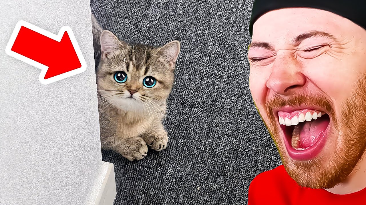 World's CUTEST Animals!