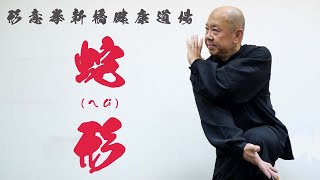 龍形拳 教本 朱紹基著 龍形拳 教本 朱紹基著