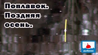 Ловля плотвы поздней осенью на поплавок на удочку - вся сила в месте! (2015 г)