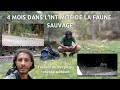 4 mois dans l&#39;intimité de la faune sauvage - Tournée de mes pièges photographiques