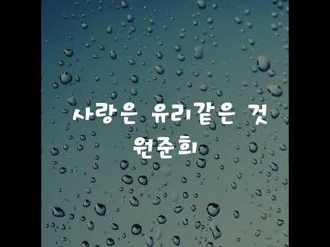 원준희 - 사랑은 유리 같은 것 (1988)