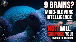 Octopus Facts: The Terrifying Intelligence of the 9-Brained Alien! 🐙🤯