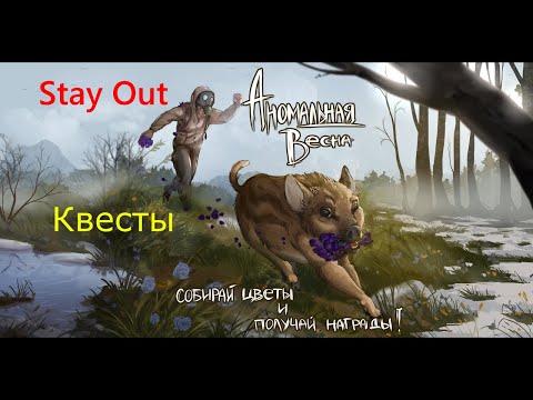 Видео: Квесты🌟Ежедневки🌟Сталкеронлайн🌟stayout 👍Аномальная весна