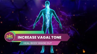 Increase Vagal Tone, Strengthen Your Vagus Nerve -  Heal Body Inside Out | 528 Hz + 741 Hz
