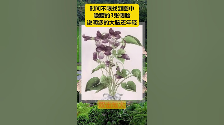 这个太难找了，最快几秒能找到3张人脸？ #脑力测试 #眼力测试