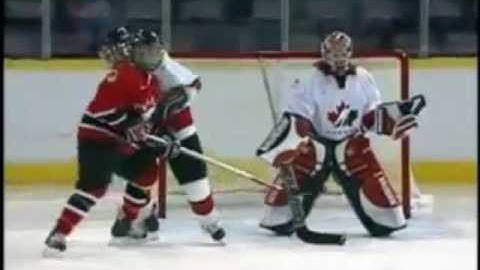 Defensive Zone Net Front