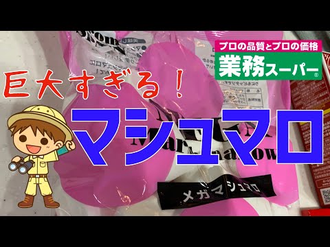 【業務スーパー】の巨大マシュマロでスモア作ってみた!