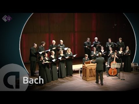 J.S. Bach: Motet BWV 225 &rsquo;Singet dem Herrn&rsquo; - Vocalconsort Berlin