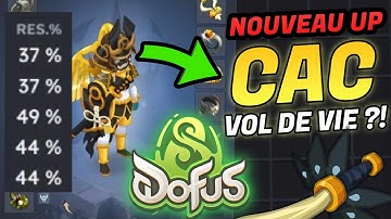 NOUVEAU stuff 40% ALL UP CAC vol de vie sur DOFUS 3.4