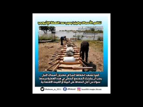 جرائم اثيوبيا على نهر النيل وتضرر دول الجوار وهى لا تعبئ هشام حسنى