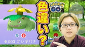 コミュニティデイ限定りゅうせいぐんカイリュー これって作るべき ポケモンgo Youtube