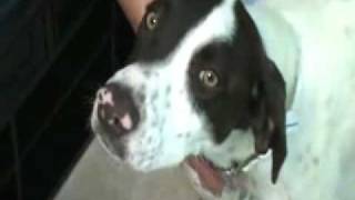 Lizzy 2011 10422.Wmv
