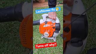 Leafblower - Crocodile Tears