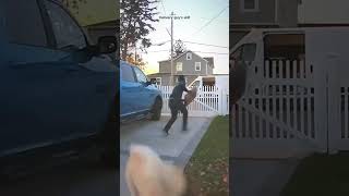 Scary or Sweet? This Dog’s Reaction to Delivery Men
