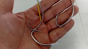 0913.260.614 zalo bán lưỡi câu nhấp cá lóc rừng mẫu mài ốc mẫu hàm chó mẫu móng nai 