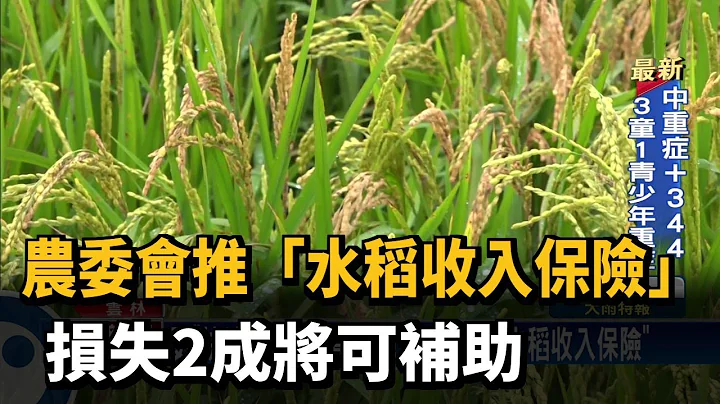农委会推“水稻收入保险”　损失2成将可补助－民视新闻 - 天天要闻
