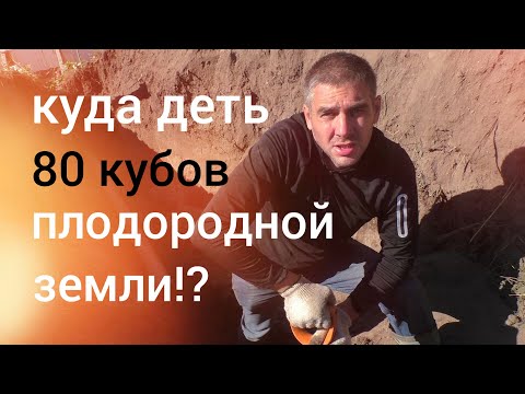 Видео: Летни съвети за безопасност за вашето куче