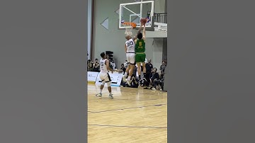 No Catfish in my house 🚫 #vba2024 #bongro #basketball #saigonheat #timcavoi