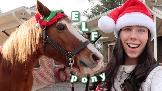 dressing my pony up as an elf!! + new  horse |  Vlogmas day 1