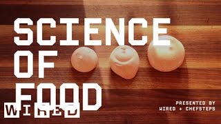 How To Make Super-Classy Culinary Foam, Even If You Aren't Classy | Science Of Food