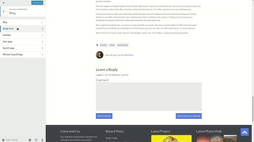 Setting up previous  and next post functionality