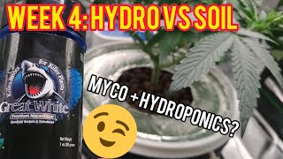Week 4: Hydro Vs Soil - Great White Myco In The DWC