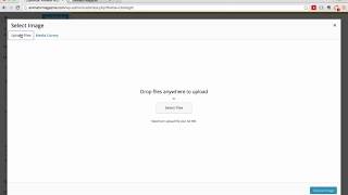 ClickRight Theme Customization Section